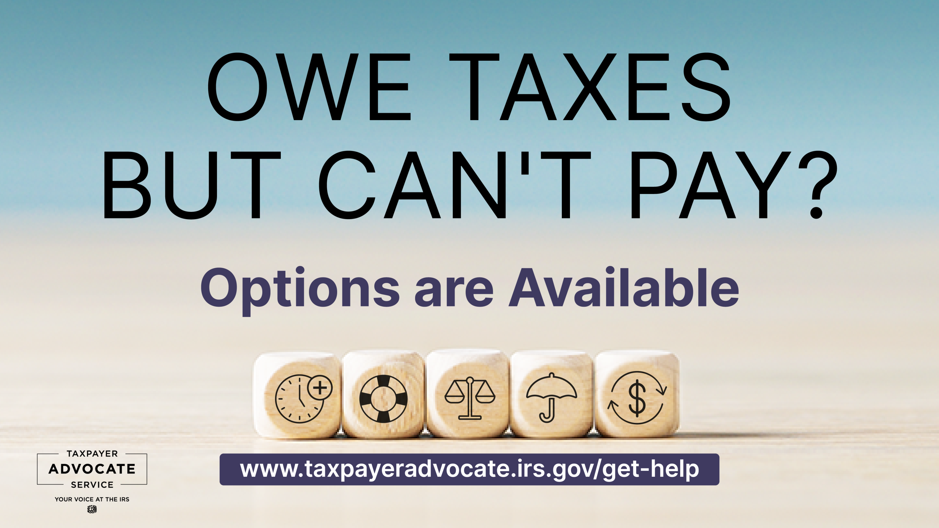 当你欠联邦税，但无法全额支付时- TAS